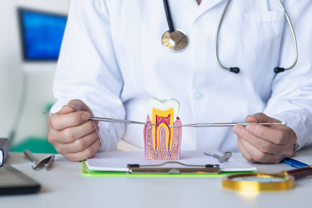 Best Weekend Emergency Dentist in Iowa Park, TX